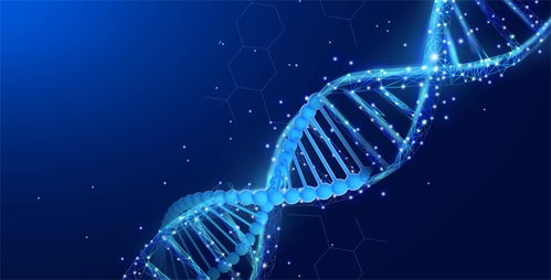 超越crispr技術(shù) 新基因編輯工具seekrna面世 精確切割靶點并插入新dna序列