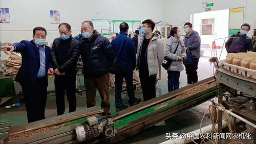 陜西省食用菌產(chǎn)業(yè)技術(shù)體系專家走進眾興高科