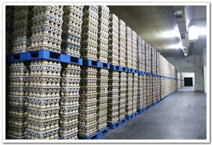 投入真金白銀 帶動產興業旺