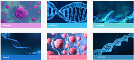 簡道云平臺(tái),武漢瑞興生物科技的另一個(gè)基礎(chǔ)底座!