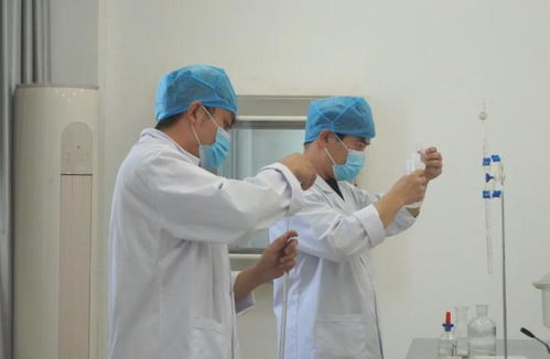 伊吾縣參展企業(yè)開啟亞博會備戰(zhàn)模式